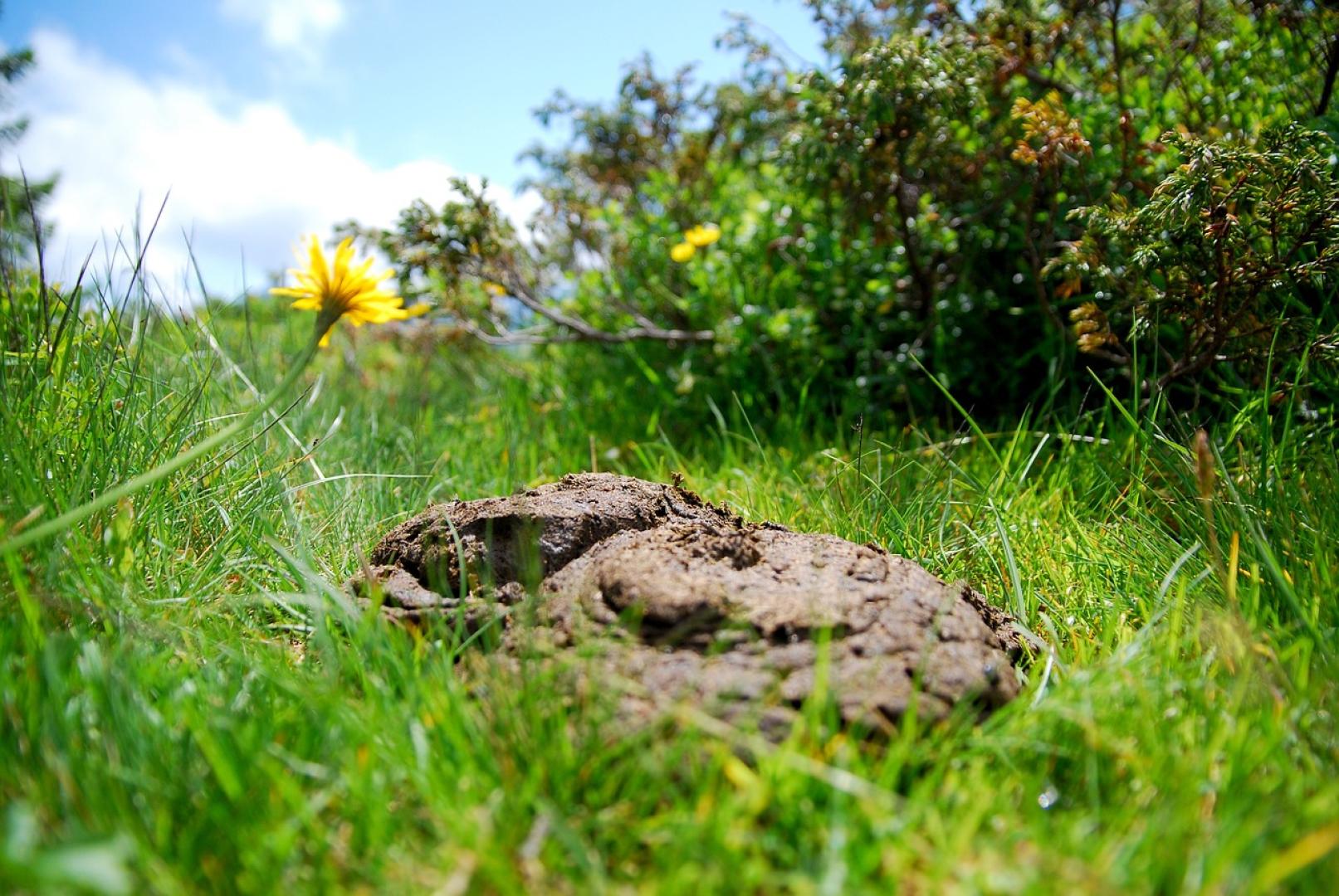 Symposium ‘Mest, het bruine goud’ op 23 juni in Den Bosch (ochtendprogramma)
